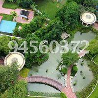 Palm Gardens (D23), Condominium #77337942